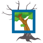 Politisches Framing - Bild eines Baumes mit einem Rahmen, der einen Teil des Baums farbig erscheinen lässt.. 